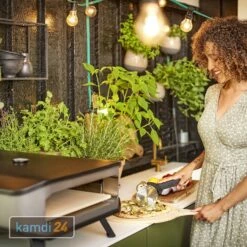 Cozze Pizzaschneider -Küchengrill Geschäft cozze pizzaschneider 24579 m 3