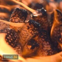 Maister BBQ Grillkolben 3er-Pack (9 Kg) -Küchengrill Geschäft maister bbq grillkolben 3er pack 9 kg 17437 m 6