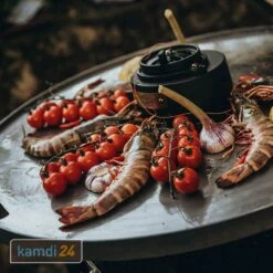 MONOLITH Feuerplatte Für LeCHEF -Küchengrill Geschäft monolith feuerplatte fuer lechef m 3