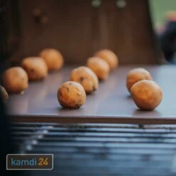 Weber CRAFTED Glasierter Pizzastein Aus Cordierit Rechteckig 9 Weber CRAFTED Glasierter Pizzastein Aus Cordierit Rechteckig -Küchengrill Geschäft weber crafted pizzastein glasiert rechteckig 25952 m 4