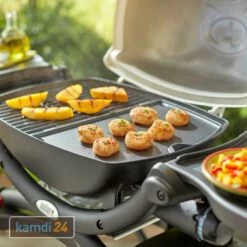 Weber Grillplatte Für Q 1000 Serie 5 Weber Grillplatte Für Q 1000 Serie -Küchengrill Geschäft weber grillplatte fuer q 1000 serie 25883 m 2