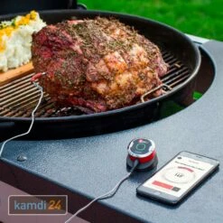 Weber IGrill Mini Temperaturfühler -Küchengrill Geschäft weber igrill mini temperaturfuehler 25582 m 2