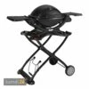 Weber Q 1200 Mobil Gasgrill Inkl. Tragbarem Rollwagen