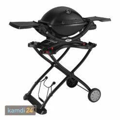 Weber Q 1200 Mobil Gasgrill Inkl. Tragbarem Rollwagen
