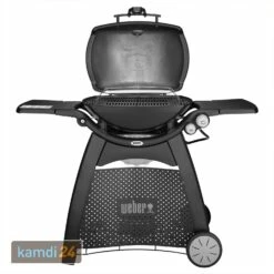 Weber Q 3200 Gasgrill Mit Rollwagen Inkl. Hitzeschild Und Bratenrost -Küchengrill Geschäft weber q 3200 gasgrill mit rollwagen inkl hitzeschild und bratenrost 25555 m 2