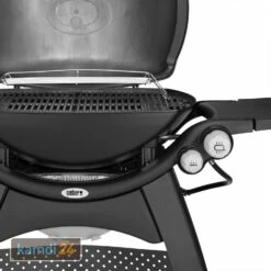 Weber Q 3200 Gasgrill Mit Rollwagen Inkl. Hitzeschild Und Bratenrost -Küchengrill Geschäft weber q 3200 gasgrill mit rollwagen inkl hitzeschild und bratenrost 25555 m 5