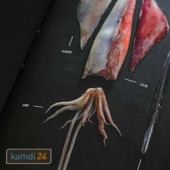 Yakiniku Shichirin Kochbuch Japanischer Grill -Küchengrill Geschäft yakiniku shichirin kochbuch japanischer grill 22973 m 9